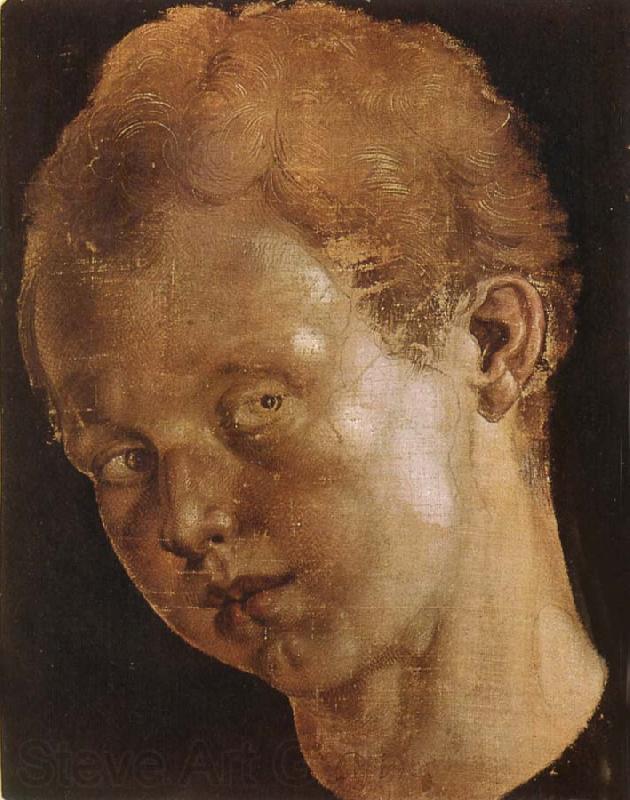Albrecht Durer Head of a boy facing toward the left Spain oil painting art